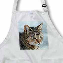 A close up head photograph of a stunning brown tabby cat Apron