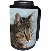 A close up head photograph of a stunning brown tabby cat Can Cooler Bottle Wrap