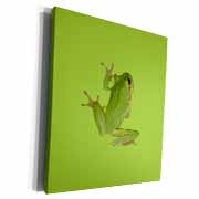 Cute Climbing Green Tree Frog Vector Art Museum Grade Canvas Wrap