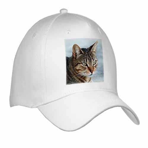 A close up head photograph of a stunning brown tabby cat Cap