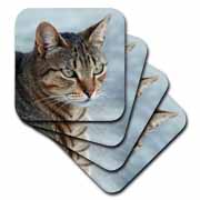 A close up head photograph of a stunning brown tabby cat Coaster