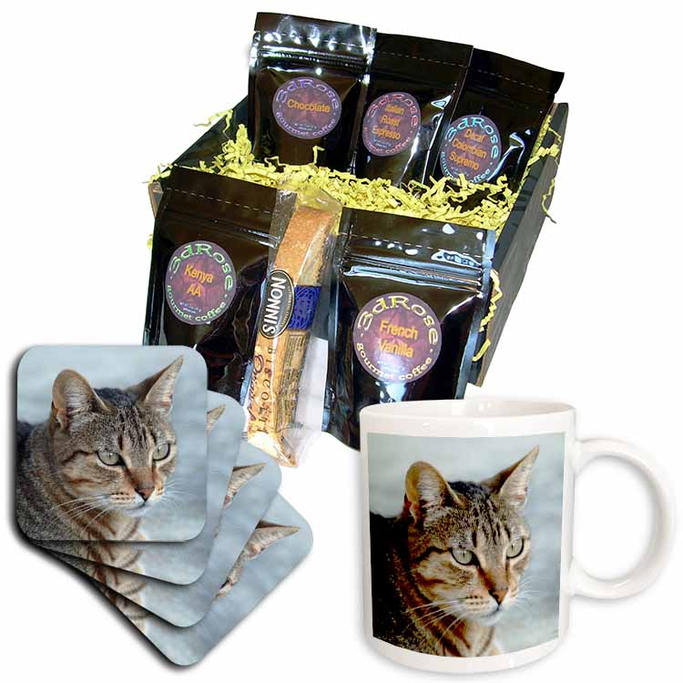 A close up head photograph of a stunning brown tabby cat Coffee Gift Basket