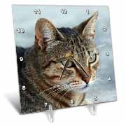 A close up head photograph of a stunning brown tabby cat Desk Clock