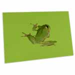 click on Cute Climbing Green Tree Frog Vector Art to enlarge!