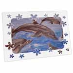 click on Dolphin Splash - animal, blue, cute, dolphin, dolphins, fish, mammals to enlarge!