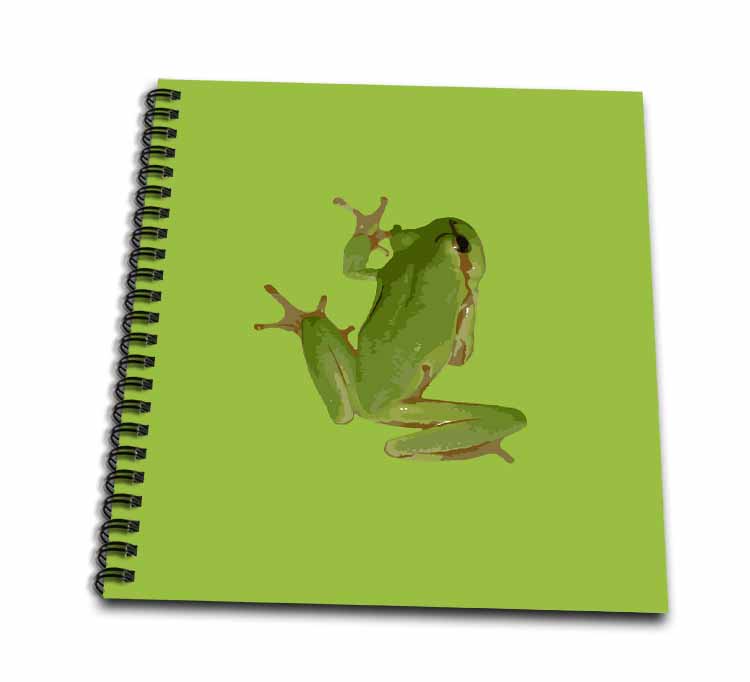 Cute Climbing Green Tree Frog Vector Art Drawing Book