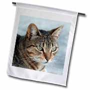 A close up head photograph of a stunning brown tabby cat Flag