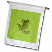 Cute Climbing Green Tree Frog Vector Art Flag