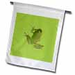 click on Cute Climbing Green Tree Frog Vector Art to enlarge!