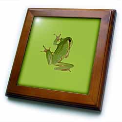 Cute Climbing Green Tree Frog Vector Art Framed Tile