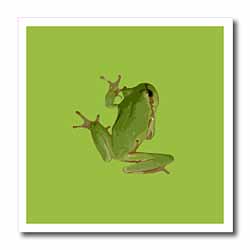 Cute Climbing Green Tree Frog Vector Art Iron on Heat Transfer