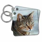 A close up head photograph of a stunning brown tabby cat Key Chain