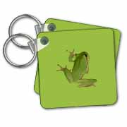 Cute Climbing Green Tree Frog Vector Art Key Chain