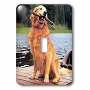 Golden Retriever Light Switch Cover