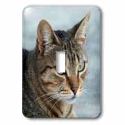 A close up head photograph of a stunning brown tabby cat Light Switch Cover