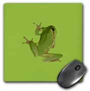 Cute Climbing Green Tree Frog Vector Art Mouse Pad