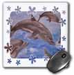 click on Dolphin Splash - animal, blue, cute, dolphin, dolphins, fish, mammals to enlarge!