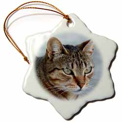 A close up head photograph of a stunning brown tabby cat Ornament