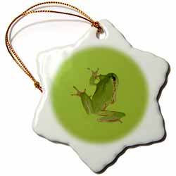 Cute Climbing Green Tree Frog Vector Art Ornament