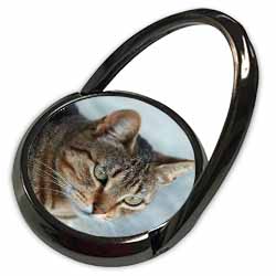 A close up head photograph of a stunning brown tabby cat Phone Ring