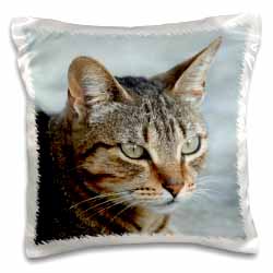 A close up head photograph of a stunning brown tabby cat Pillow Case