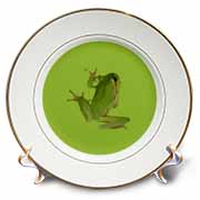 Cute Climbing Green Tree Frog Vector Art Plate