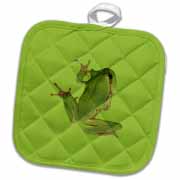 Cute Climbing Green Tree Frog Vector Art Potholder