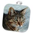 click on A close up head photograph of a stunning brown tabby cat to enlarge!