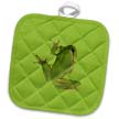 click on Cute Climbing Green Tree Frog Vector Art to enlarge!