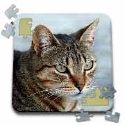 A close up head photograph of a stunning brown tabby cat Puzzle