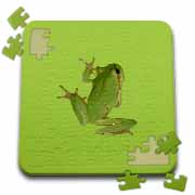 Cute Climbing Green Tree Frog Vector Art Puzzle