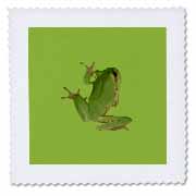 Cute Climbing Green Tree Frog Vector Art Quilt Square