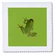 click on Cute Climbing Green Tree Frog Vector Art to enlarge!