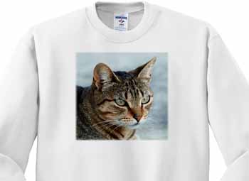 A close up head photograph of a stunning brown tabby cat Sweatshirt