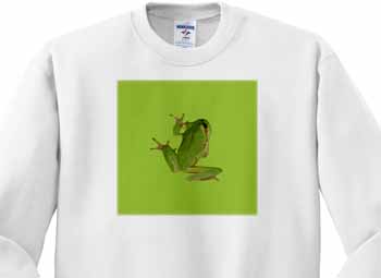 Cute Climbing Green Tree Frog Vector Art Sweatshirt