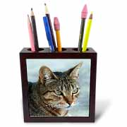 A close up head photograph of a stunning brown tabby cat Tile Pen Holder