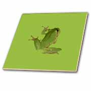 Cute Climbing Green Tree Frog Vector Art Tile