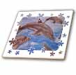 click on Dolphin Splash - animal, blue, cute, dolphin, dolphins, fish, mammals to enlarge!