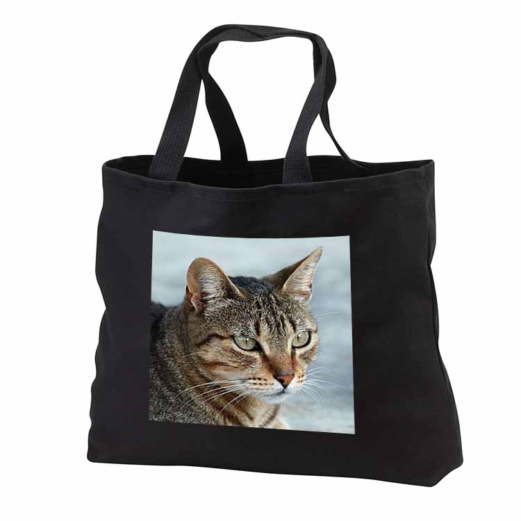 A close up head photograph of a stunning brown tabby cat Tote Bag