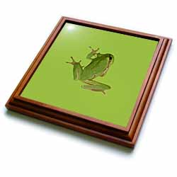 Cute Climbing Green Tree Frog Vector Art Trivet