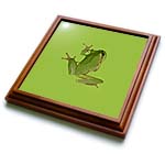 click on Cute Climbing Green Tree Frog Vector Art to enlarge!