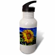 Sunflower In Van Gogh Style Water Bottle