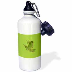 Cute Climbing Green Tree Frog Vector Art Water Bottle